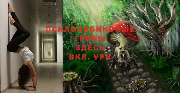 метамфетамин Богородск