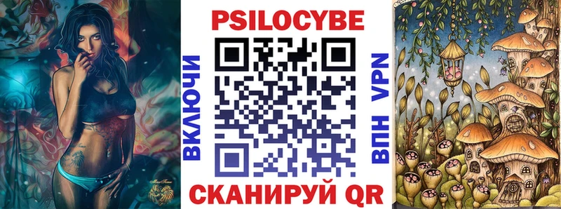 где найти наркотики  Электросталь  Псилоцибиновые грибы Psilocybe 